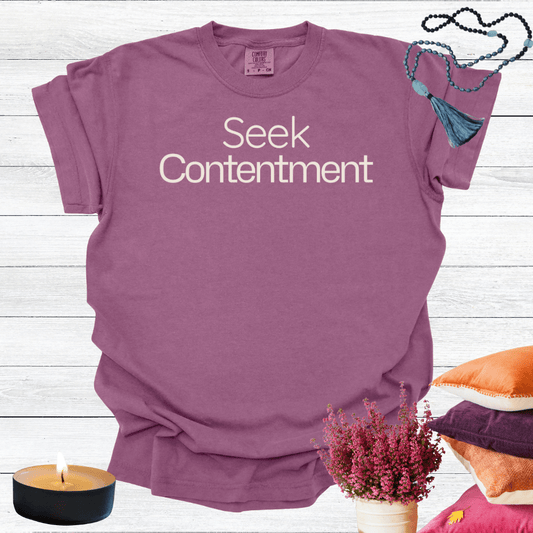 Seek Contentment T-shirt