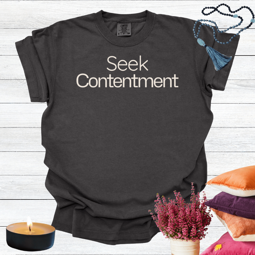 Seek Contentment T-shirt