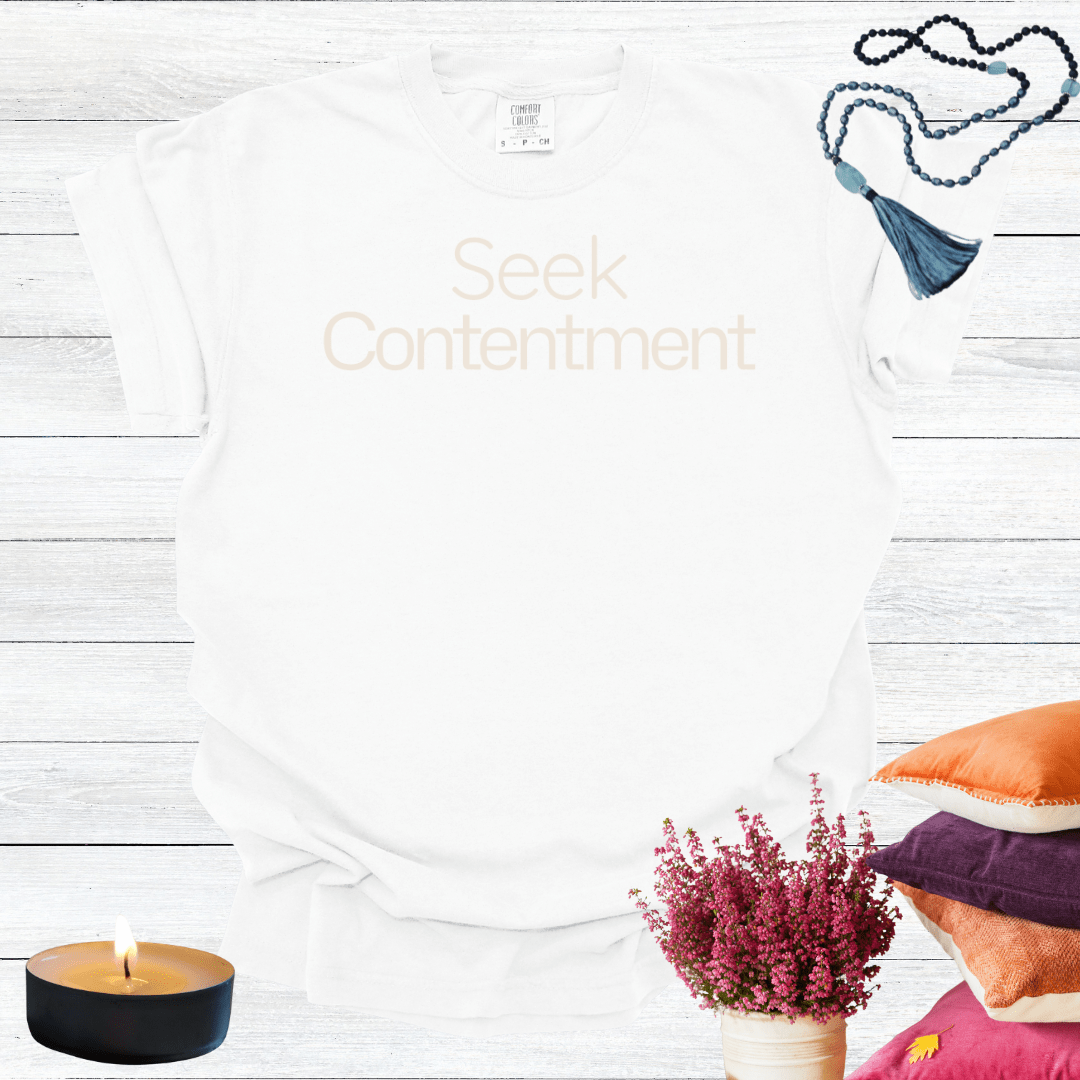 Seek Contentment T-shirt