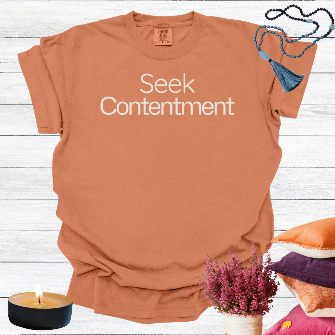 Seek Contentment T-shirt