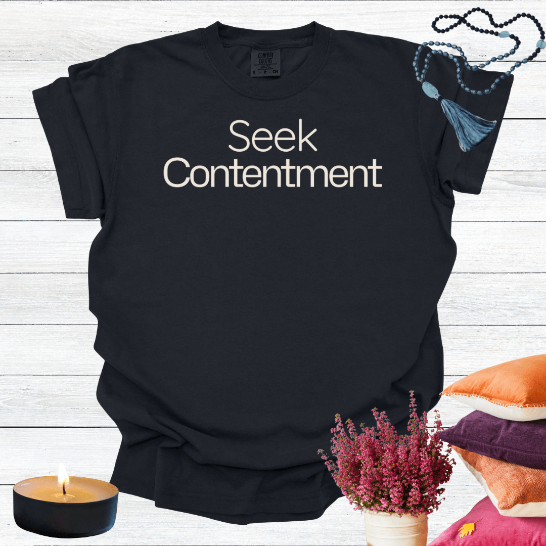 Seek Contentment T-shirt