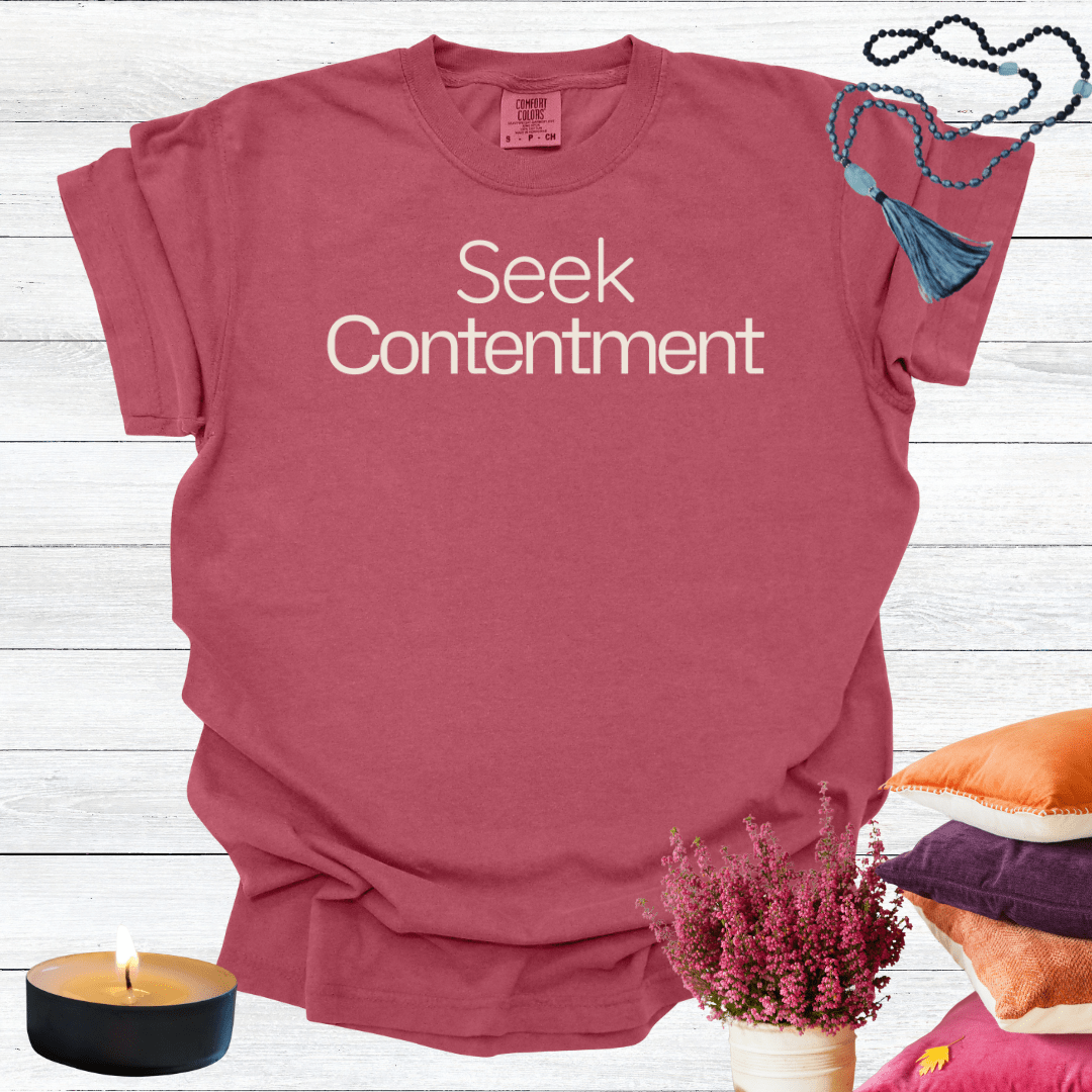 Seek Contentment T-shirt