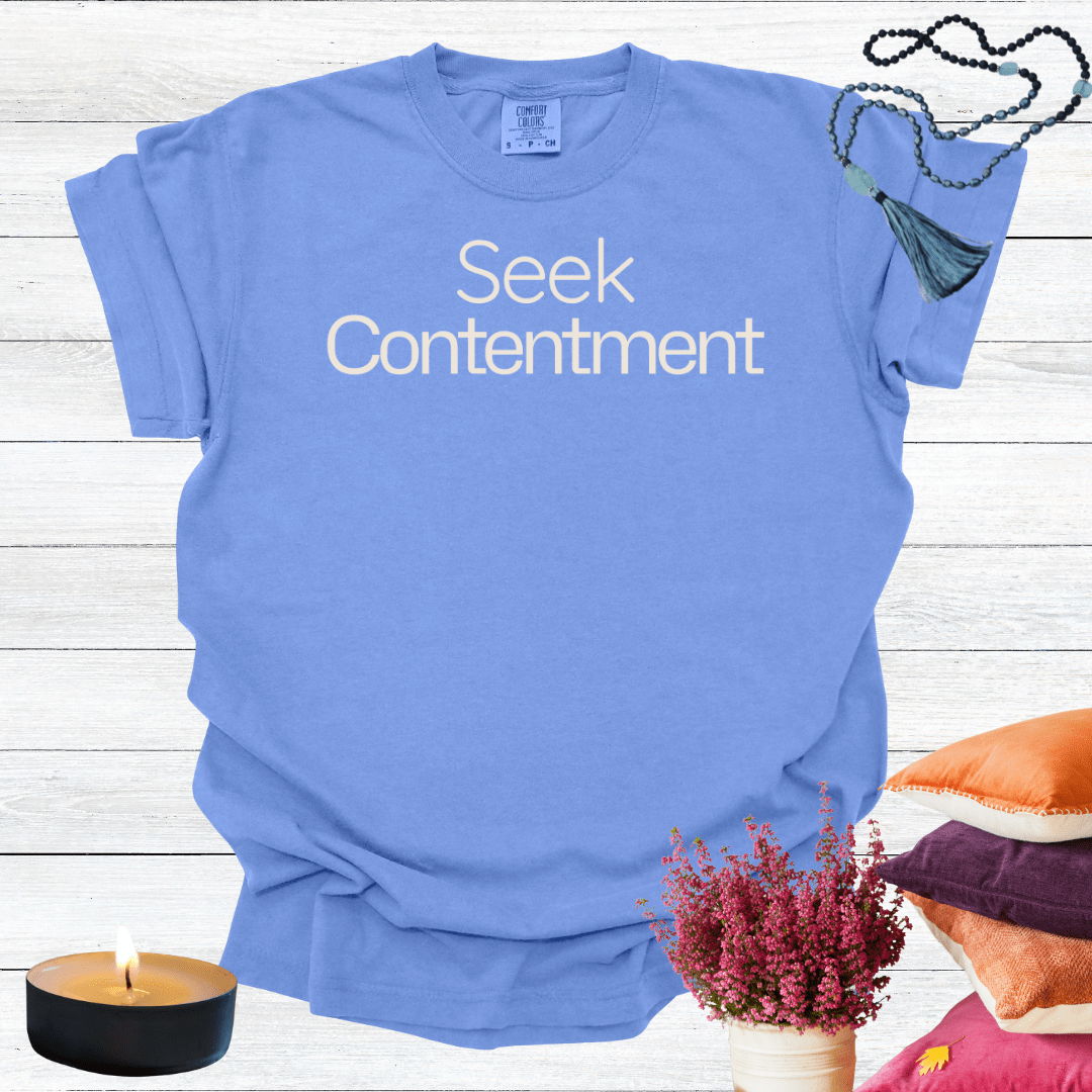 Seek Contentment T-shirt