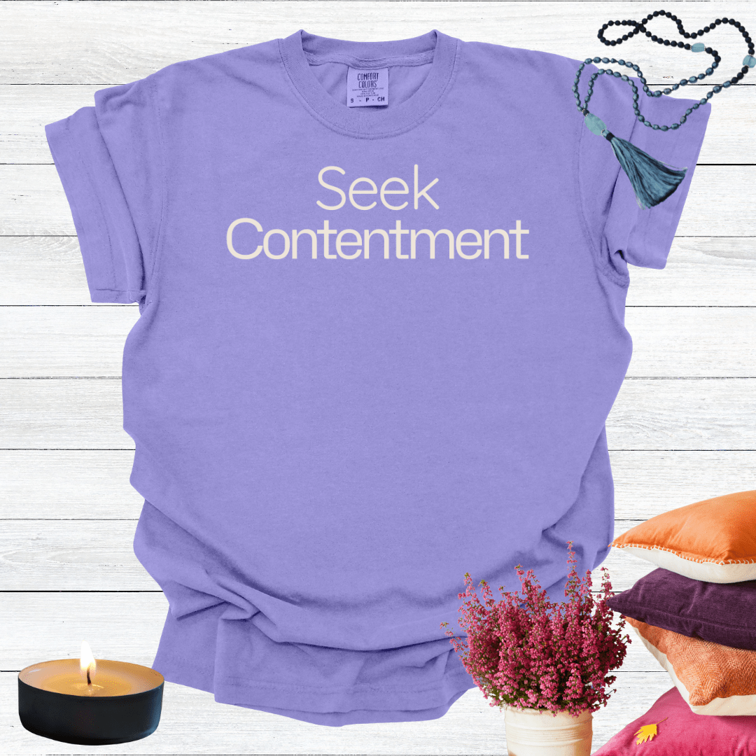 Seek Contentment T-shirt